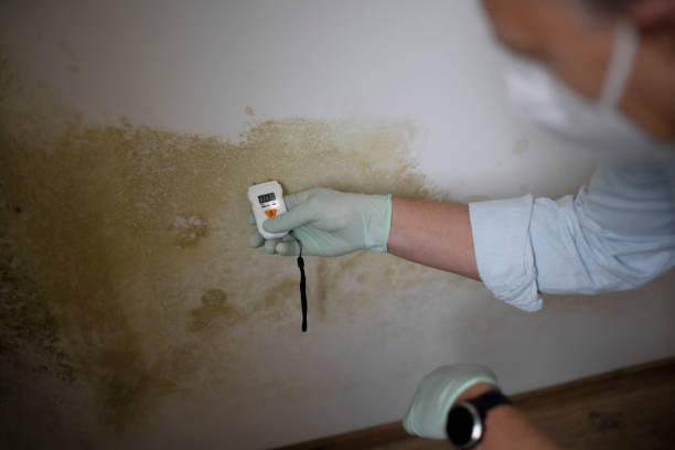 Best Mold Testing  in Hudson, IA