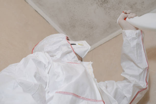 Best Mold Cleaning Services  in Hudson, IA