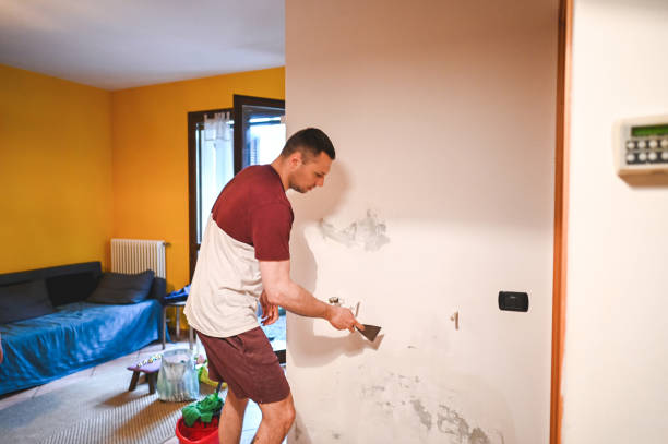 Best Mold Cleaning Services  in Hudson, IA