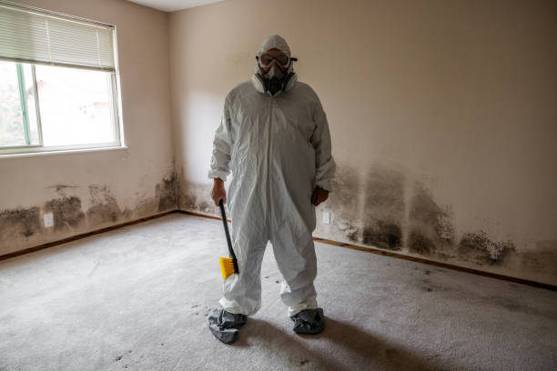 Crawl Space Mold Removal in Hudson, IA